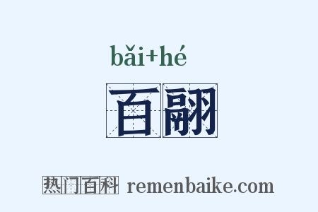 百翮是什么意思的图片